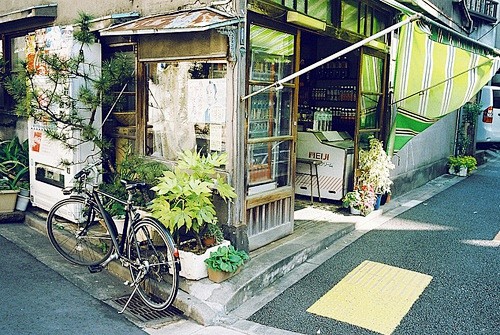 王葵安的相册-雲淡風輕♪