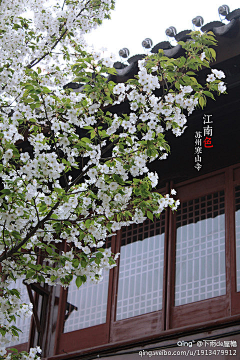 ♀﹂妳到天涯ジ☆采集到旅行、风景