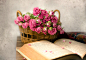 General 2000x1384 rose flowers books baskets pink flowers