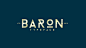 BARON (Free typefamily) : Baron is an free uppercase display typeface inspired by the classic sans serif font family's. This typeface is, because of his many alternative options, perfect for usage in posters and headlines. 