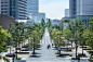 横滨Grand Mall公园景观更新设计 | STGK Inc._景观中国