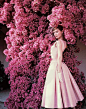 奥黛丽·赫本(Audrey Hepburn), 1955年为《VOGUE》杂志所拍摄。Norman Parkinson（1913-1990），英国著名摄影师，擅长时尚及肖像摄影，20世纪40年代，他开创性的将时尚模特从摄影棚带到户外布景中进行拍摄。在其漫长的职业生涯中，他一直是英国时尚摄影风格的开拓者。