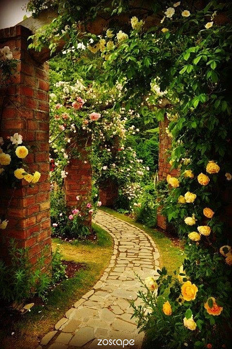 花园#私家花园#zoscape#庭院景观...