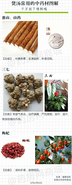 江江江若愚采集到草本药材