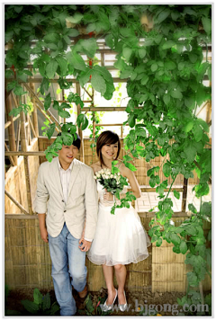 Haoguo5391采集到婚纱摄影