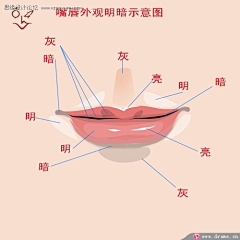 S-RUIYING采集到PS人像处理教程