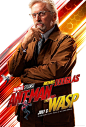 Extra Large Movie Poster Image for Ant-Man and the Wasp (#7 of 9)