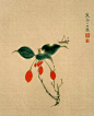 陈老莲花鸟草虫绢册
陈老莲（1598-1652），名洪绶，字章侯，因好画莲，自号老莲,晚年又号悔迟、勿迟、老迟等。是明末清初杰出的画家,工山水、花鸟、书法,尤以人物画成就最高。