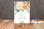 "Spring Blooms" - Wedding Table Numbers in Blush by Susan Moyal.