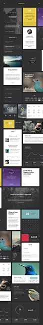 Aves UI Kit : Web Design UI Kit