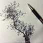 【米蒂分享】?我很喜欢画树～感觉很有生命力～这位美女画家用简单的工具把树画到了极致～很喜欢～大家可以临摹练习哦～图片来自ins 作者：dinabrodsky