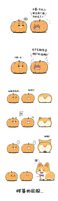 *Meow*采集到*Meow*动物