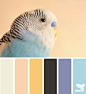【配色方案之小鸟】小编@ina琴梨 附：设计师的配色理论：创建自己的调色板→O网页链接