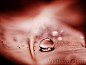 Close_up_waterdrop_on_leaf_waterdrop