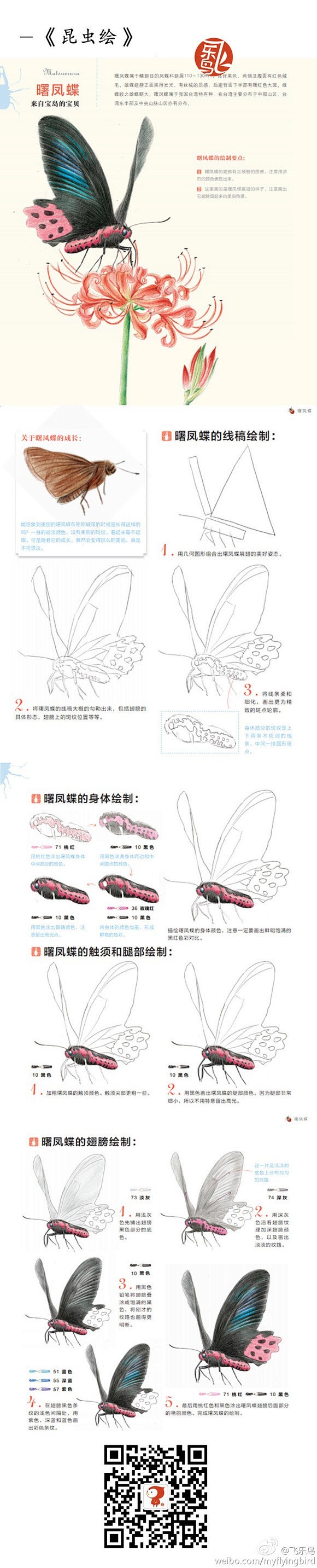 彩铅 水彩 步骤 教程 花 #治愈系# ...