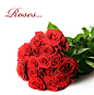 高清晰红色玫瑰花素材壁纸-红花配绿叶---酷图编号973005