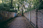 Autumn alley – free photo on Barnimages : Download this free HD photo of Autumn alley for personal and commercial use.