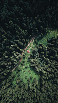 安靖靖别睡了采集到C_风景