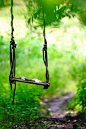 Because every garden needs a swing