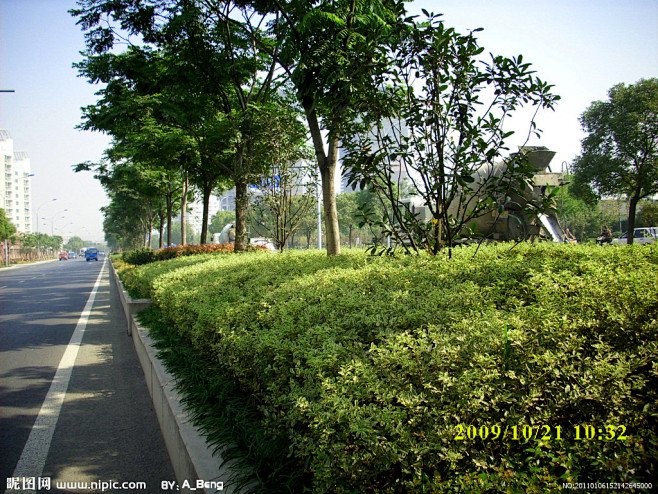 2009道路绿化金奖 钱江路