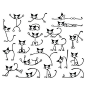 Kitty cats vector: 