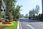 杭州市园林绿化行业协会-新塘路（新风路-新业路）综合整治工程景观绿化I、II标段