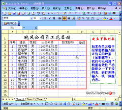 吃鱼的兔子丶采集到电脑