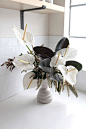 Anthuriums: Rethinking a Hotel Lobby Flower: Gardenista