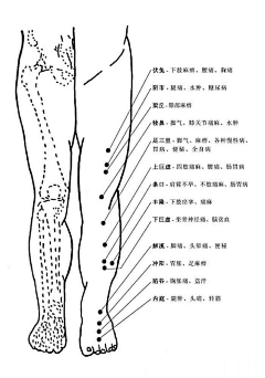 轻风吹过采集到健康生活