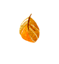 秋季元素 叶子 枝干 秋季花环 无缝图案 png素材