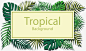 绿色热带树叶标题框高清素材 树叶标题框 树叶装饰框 热带树叶 热带植物 矢量png 绿色树叶 免抠png 设计图片 免费下载