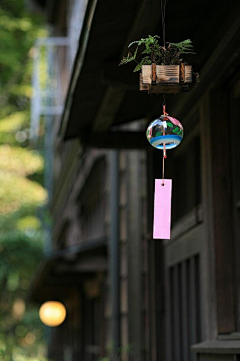 彼岸、花の绽放っ采集到似水流年