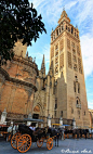 Horse Carriages in Seville, Andalucia