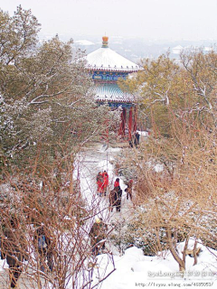 Lt173采集到故宫 北京雪景   姗姗来