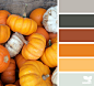 pumpkin palette