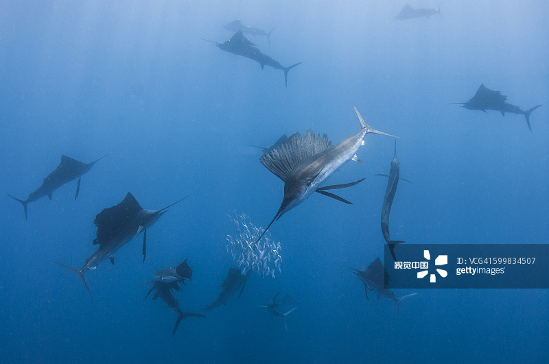 57755ca4463614f1da84c4a007867ef415f0913312fac-qaEsKY