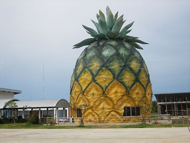 Pineapple Palace, Th...