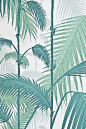 Palm Jungle Wallpaper Fresh illustrated Palm tree wallpaper in aqua on white. - très frais, pour une jungle !!: 