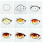 初学者画眼睛的步骤图，100种动漫人物眼睛画法