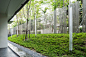 Via31 公寓北部斜坡景观 泰国曼谷Via 31公寓住宅景观是由hma事务所设计的，泰国曼谷Via 31公寓住宅的景观设计师设计了一列竖向线性的围栏，取意于“森林的树干”。这些管子以不同的垂直密度排列，创造出富有节奏的光影和视觉效果。