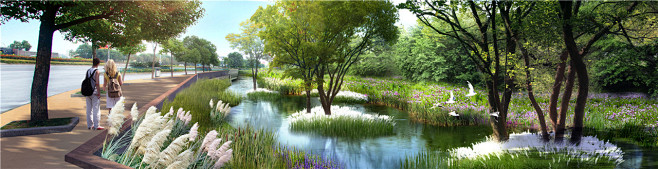 扬子江两岸绿化景观工程设设计