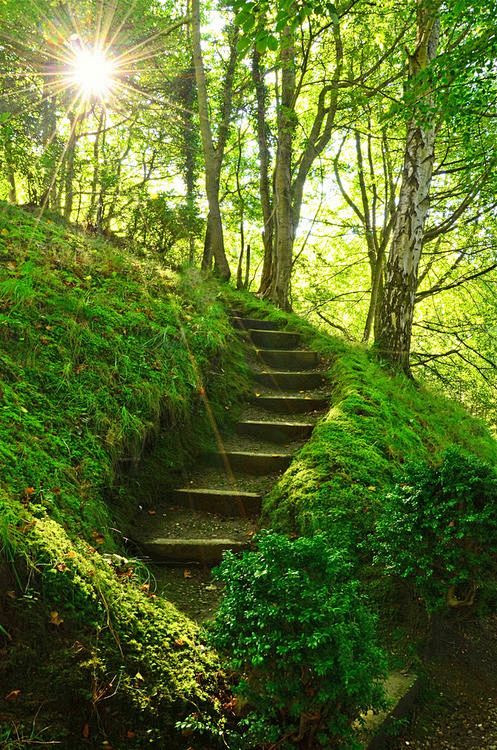 长满青苔的楼梯，佩思郡，苏格兰照片通过雅...
