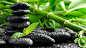 黑色石头,竹子,水滴,水珠,绿色叶子,护眼桌面壁纸