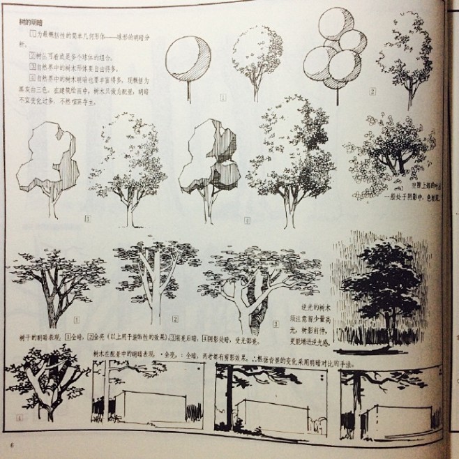 树木植物的画法，出自《建筑画环境表现与技...