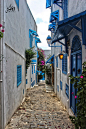 Sidi Bou Said, Tunisia