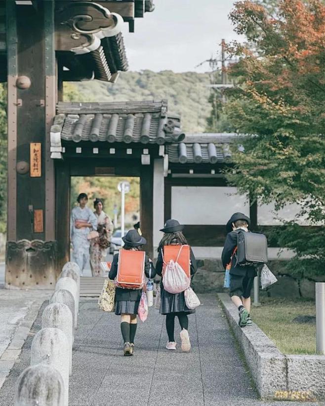 春天的日本街景，干净温暖又清新（ins：...