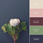 Vibrant Color Palette Combos Take Colors From the World to Inspire Creativity(03688)