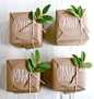 brown paper + sprigs of green: 