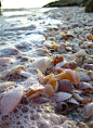 via Sea shell covered beach, Blind Pass, Sanibel Island, Florida