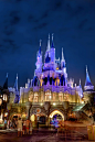 Cinderella Castle